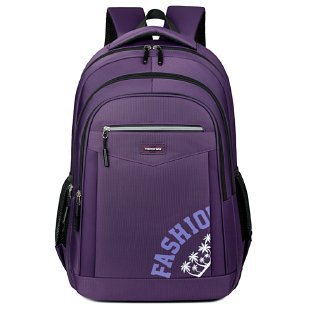 Professional Laptop Backpack