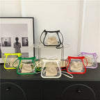 Transparent Mini Bucket Bag